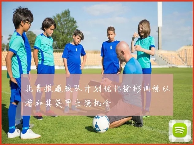北青报道狼队计划优化徐彬训练以增加其英甲出场机会