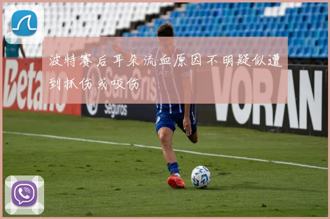 波特赛后耳朵流血原因不明疑似遭到抓伤或咬伤